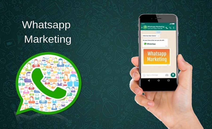 Whatsapp Marketing Service Business Consultancy Images 